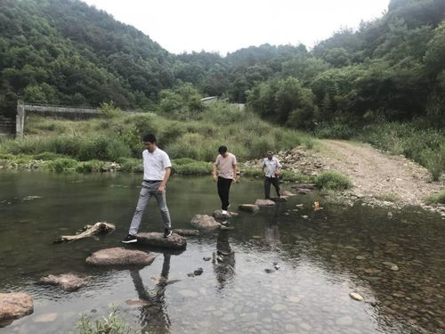 中天集团实地考察尚誉村 对接生态旅游投资项目